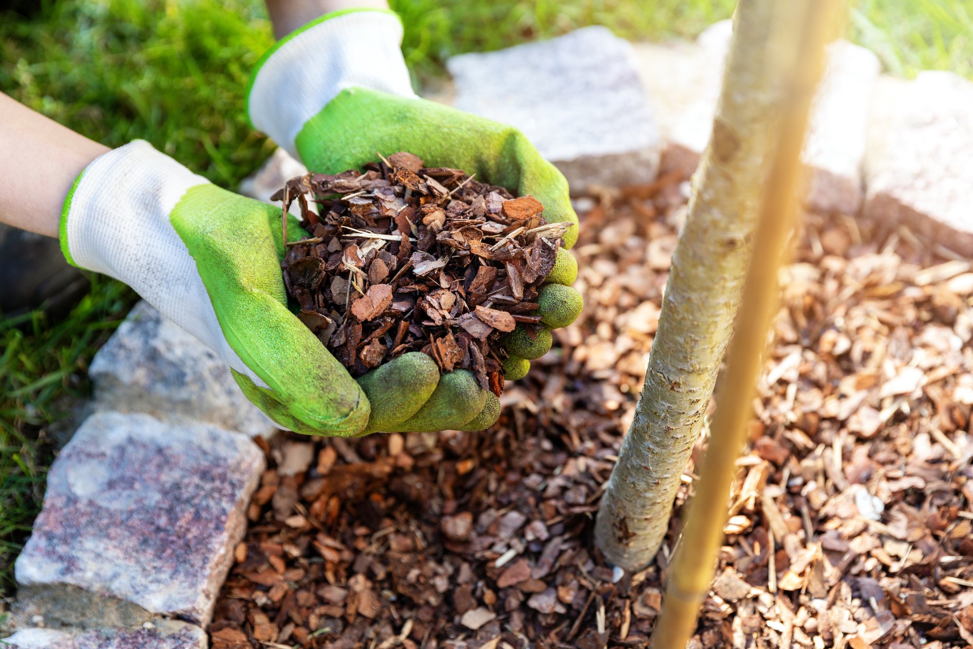 mulch